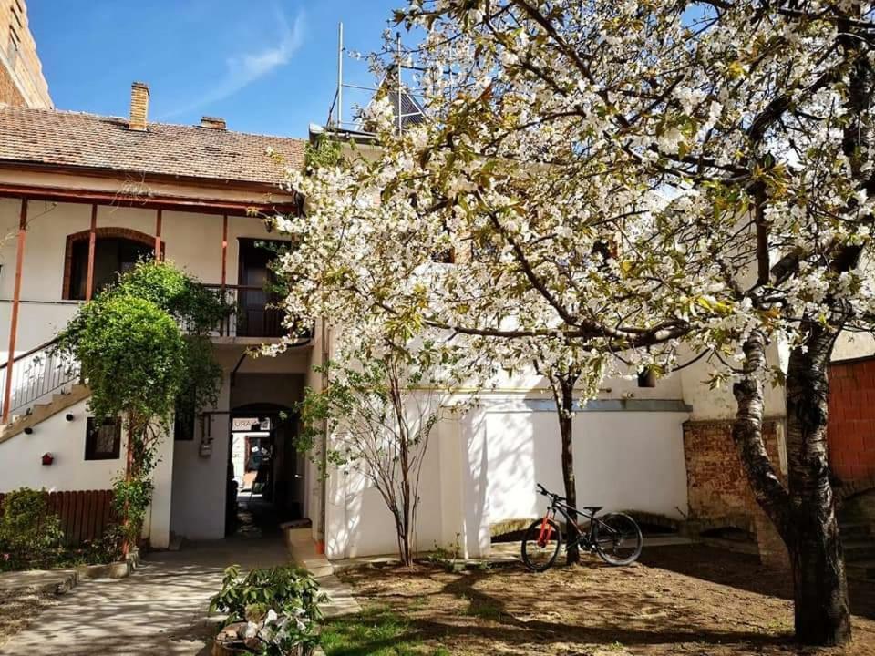Apartmán Casa Miron 1 Temešvár Exteriér fotografie